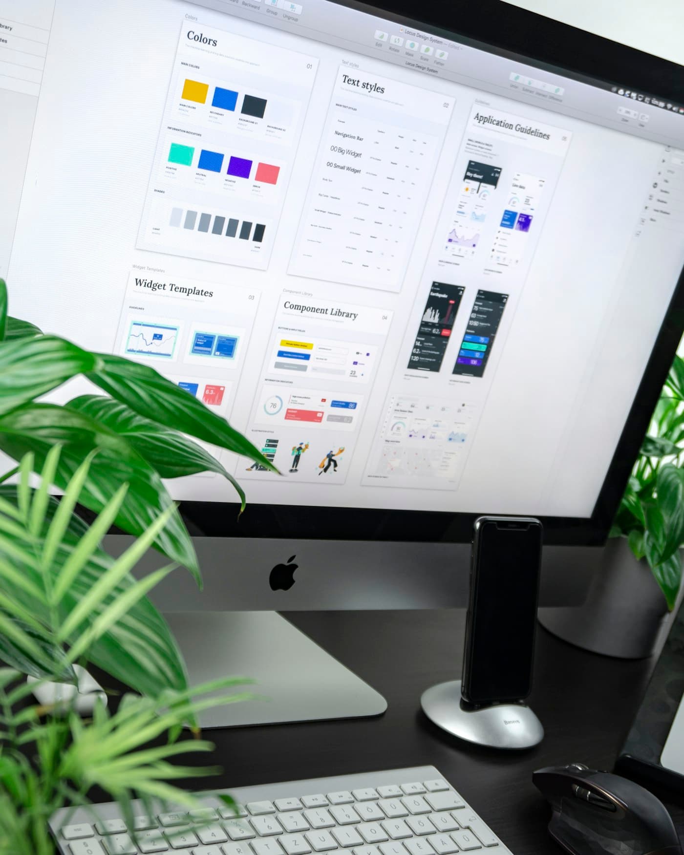 Branding & Identity